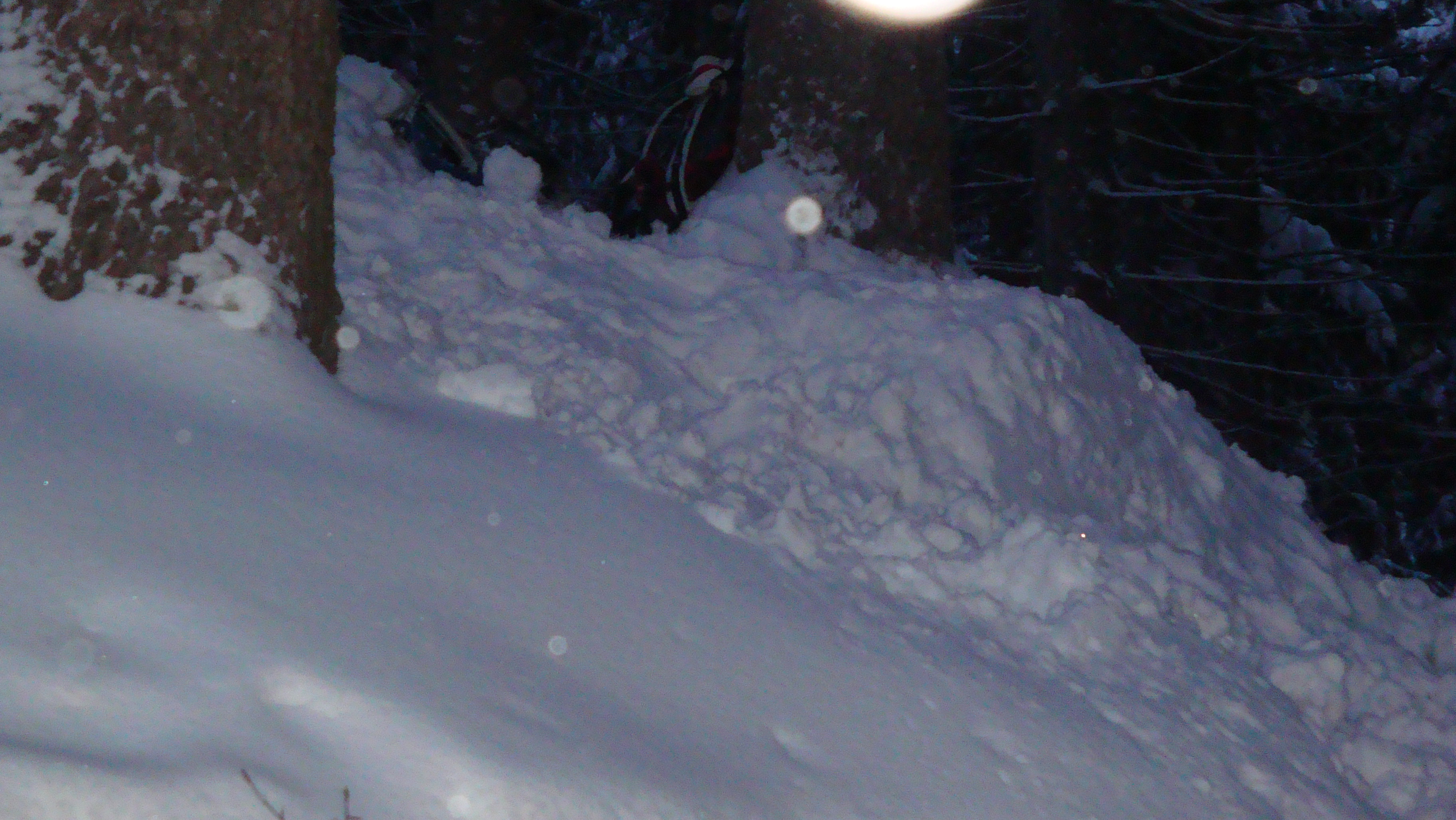 DSC03432.JPG